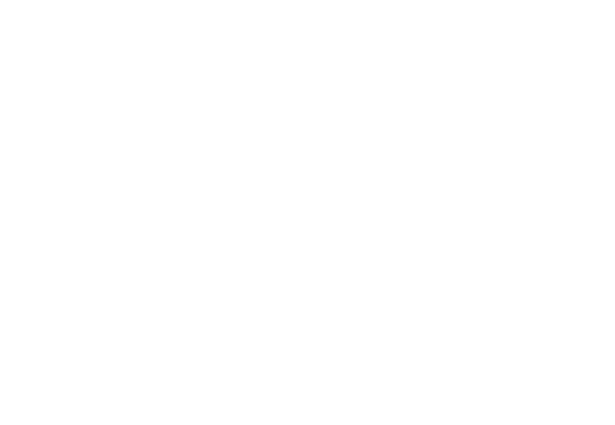 Southern Comfort Limousine | Web Design | TradeBark Savannah GA