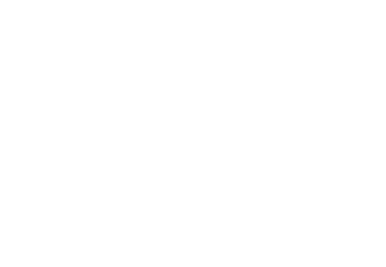 Dockside Logistics | Web Design | TradeBark Savannah GA