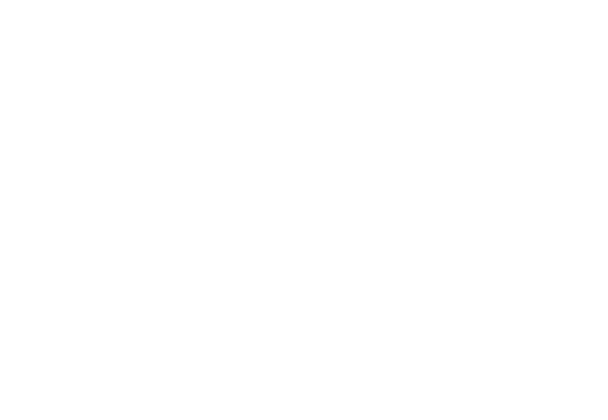 Live Brine Shrimp | Web Design | TradeBark Savannah GA