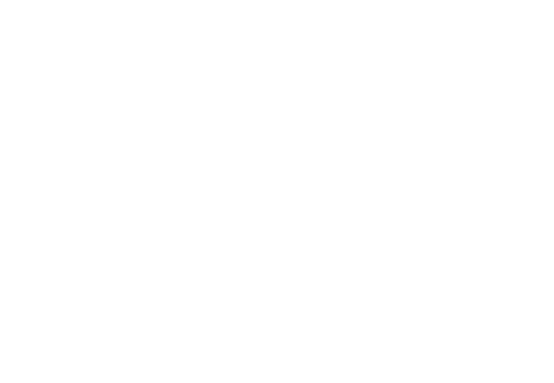 Merchants on Bee | Web Design | TradeBark Savannah GA
